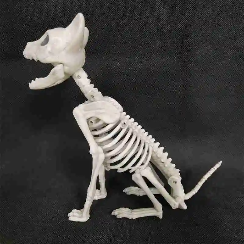 

Halloween Decoration Props Animals Skeleton Cat Skull Ornaments Decoration Horror Party Bone House Hallowmas Haunted K3X1