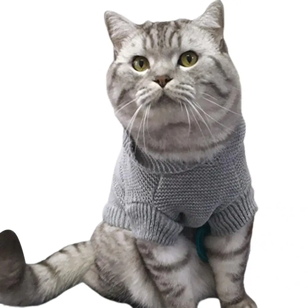 

Cat Clothes Stylish Lightweight Fashionable Eye-catching Pet Cat Hooded Clothing for Small Dog Cat Sweater Cat Sweater