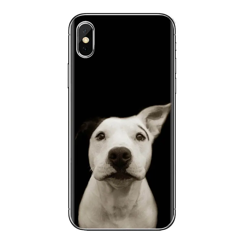 Мягкий прозрачный чехол для собак бультерьер Huawei Honor 5A lyo-l21 Y6 II Compact Y5 2 Y5II mate 10 Lite Nova