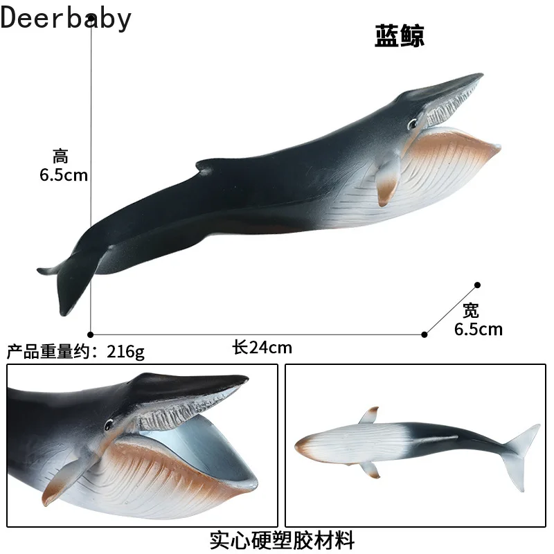 

Simulation of marine animal whale model children cognitive static solid plastic toys new blue whale shark