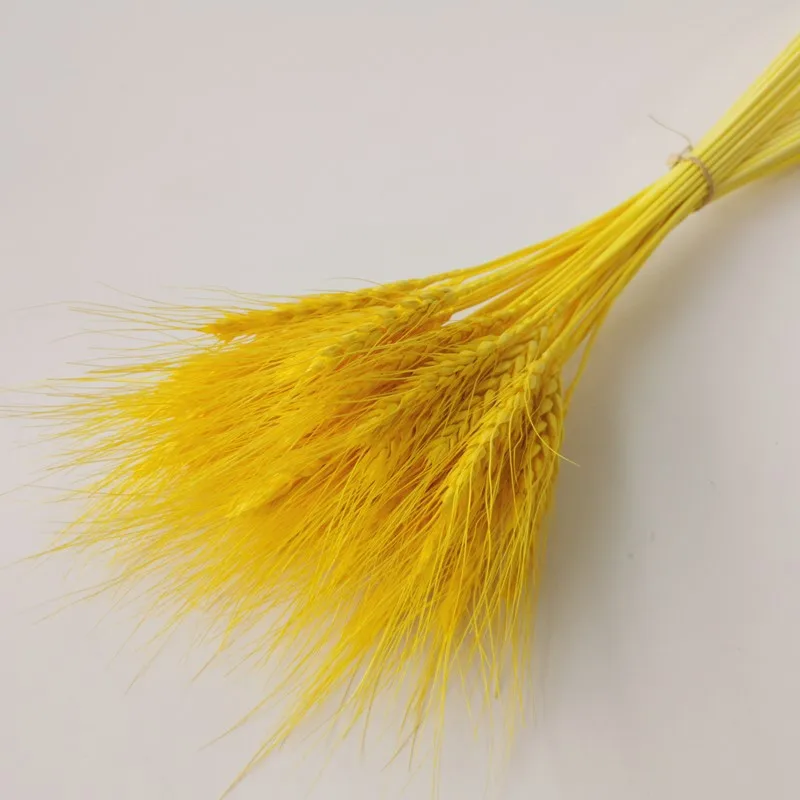 

Preserved Long Lasting Dried Flower Natural Real Touch Golden White Pink Blue Wheat For Party Festival Wedding Home Daily Decor