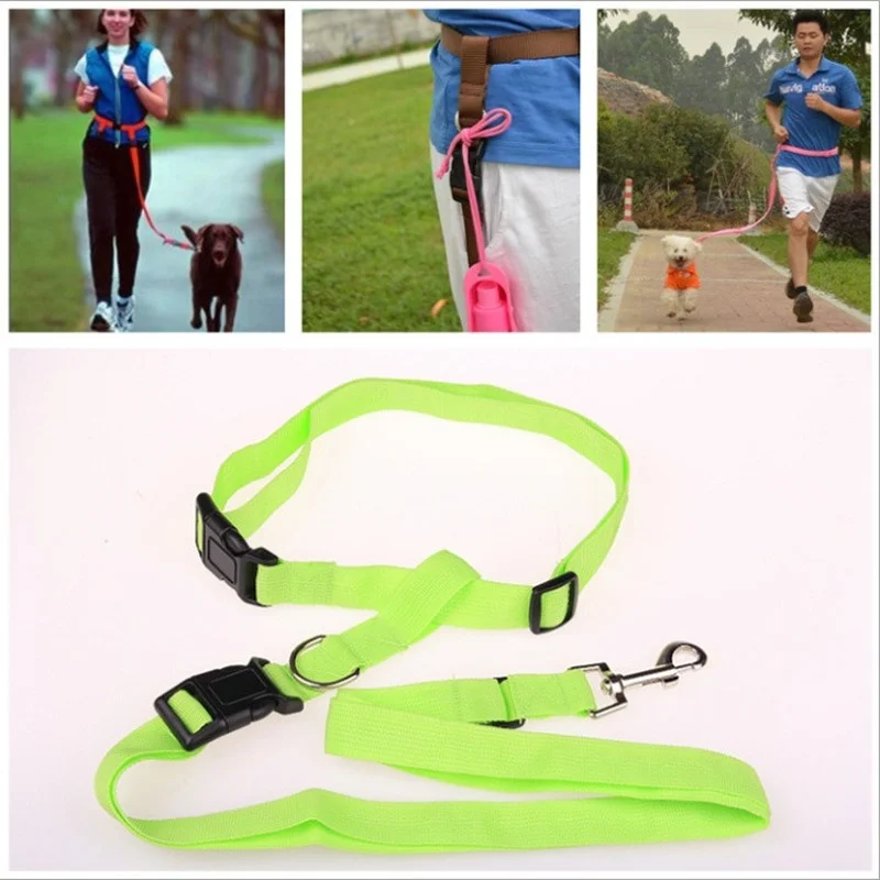 

A dog running in the morning is special traction rope pet chest straps pet supplies the dog for a walk on the rope
