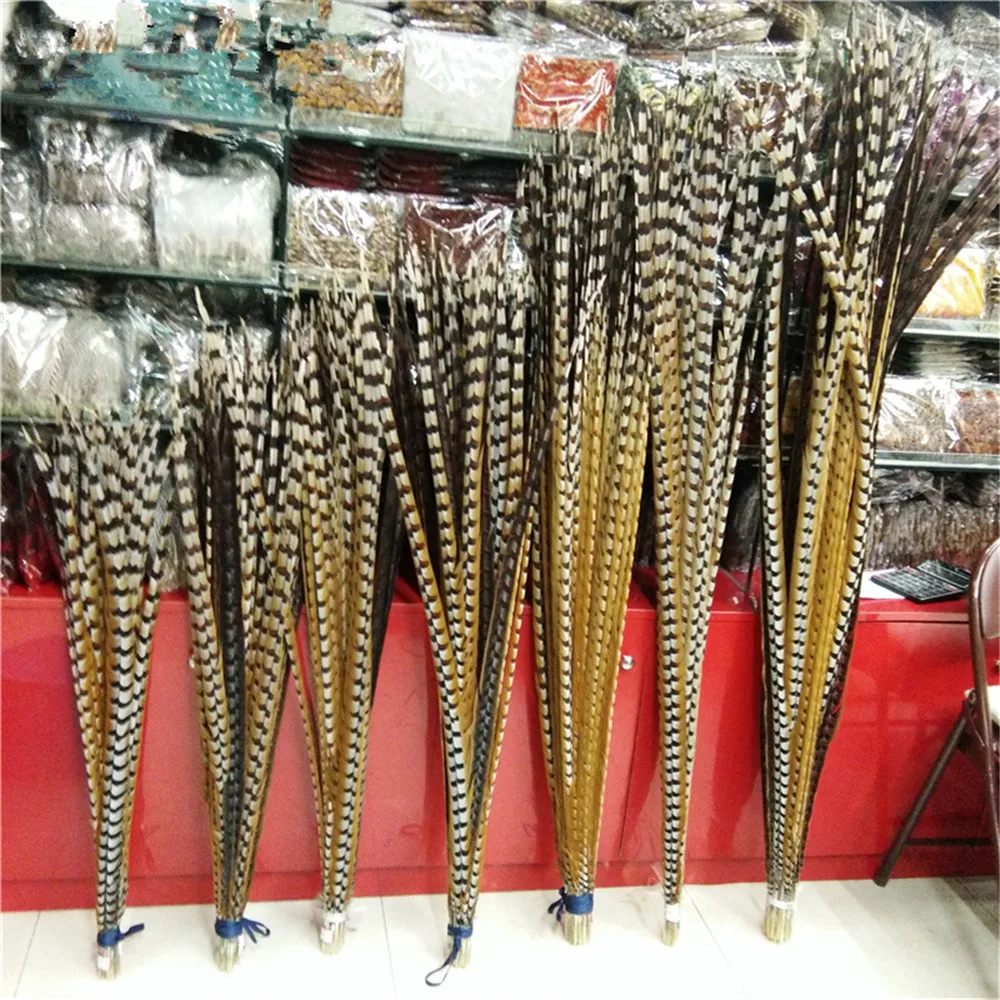 Натуральные длинные Редкие перья хвоста фазана 10 шт./лот для украшения длина 30 180