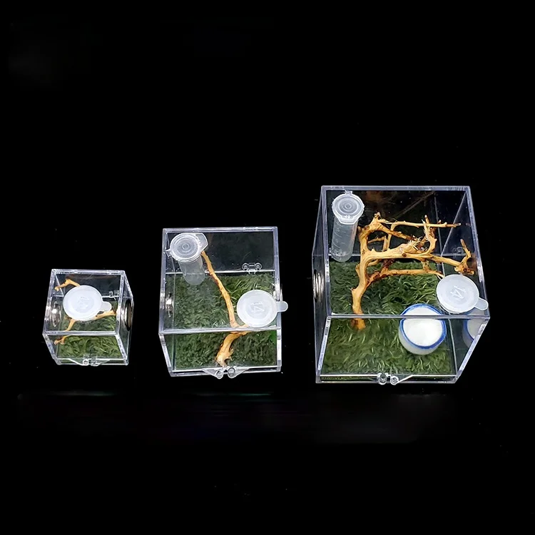 

Акриловые насекомых коллекцией наблюдения Ant пчеловодства ящик для насекомых экологический Формикарий Boite насекомым насекомых поставки ...