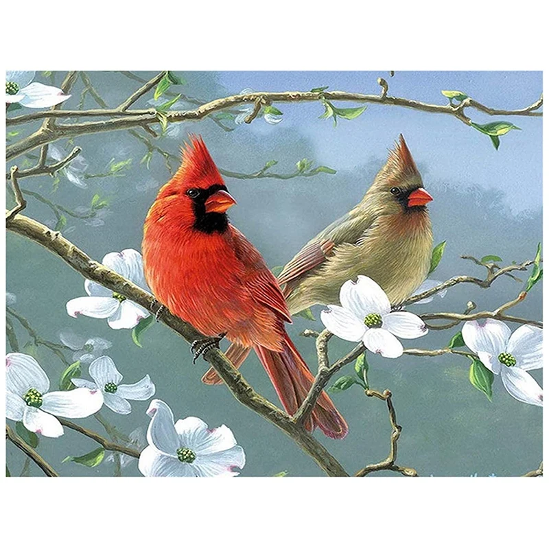 

Алмазная живопись, полный набор алмазов, картина Стразы, творчество, украшение для двери дома (птицы, цветы)