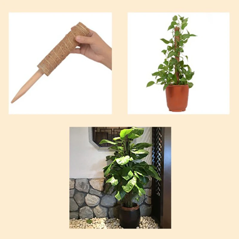 1 шт. домашний Поддержка Можно носить в тотемного столба из вьющихся растений