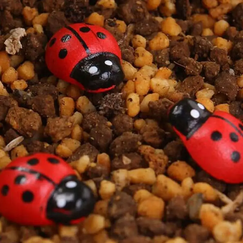 100 шт. Мини фигурки Божья коровка мох микропейзаж декоративные деревянные
