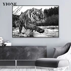 Плакат с изображением дикого тигра, современное черно-белое животное, Картина на холсте, Настенная картина, принты для гостиной, украшение для прохода, подарок