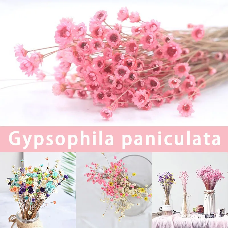 

30pcs Dried Flower Brazilian Little Star Flower Gypsophila Chrysanthemum Art Decor DIY uacr Artificial Flowers Decorations 2021