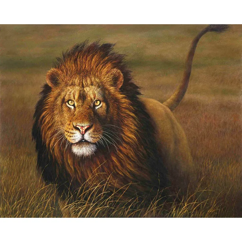 

SELILALI Painting By Numbers The Lion Pictures By Number Animal Oil Painting For Adults Oil Painting Home Decoration