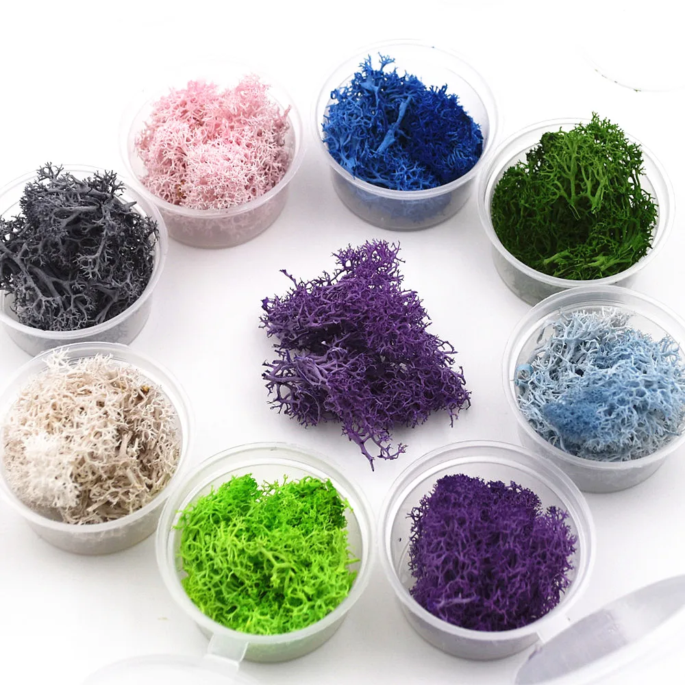 

1 box 2-2.5grams Natural moss microlandschaft filler for glass globe silicone mold DIY jewelry making craft materia