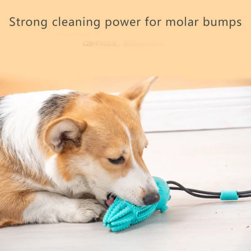 

Pet Dogs Biticle Eating Grinding Canal Ball Clean Teeth Silica Gel Grinding Rod Teasing Squeak Chew Resistance Pet Toys
