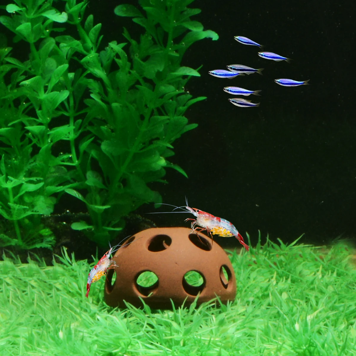 Саим аквариум украшение коричневый Керамика полукруг в мелкую дырочку Рыбы для