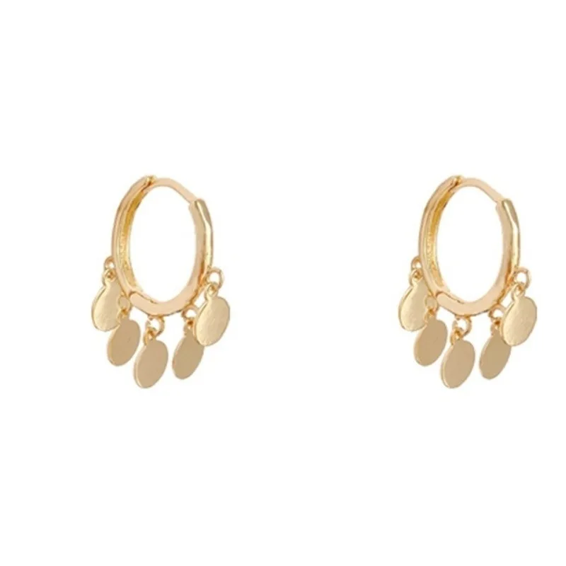 

Gold Hoop Earrings for Women S925 Needle Metal Hypoallergenic Cute Ear Rings Personality Accessories Wholesale Luxury Design