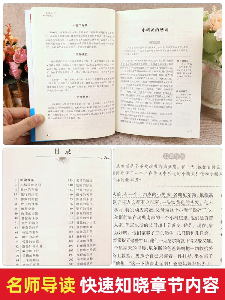 6 шт. детский фотоальбом динозавр | Канцтовары для офиса и дома