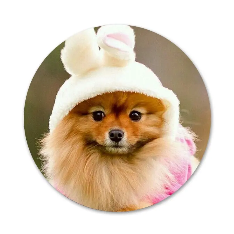 58 мм своего померанского шпица собаки значок на булавке декоративные Броши