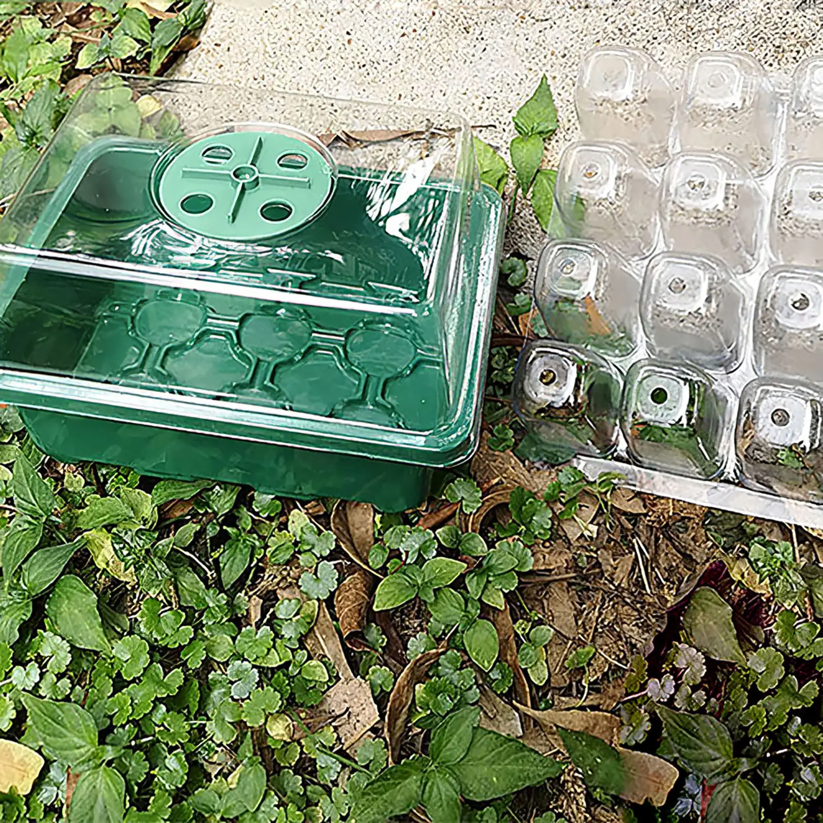 

Greenhouse Propagation Box 12 Holes Plastic Propagation Tray Plant Starter Kit With Plant Label And Two Garden Tool