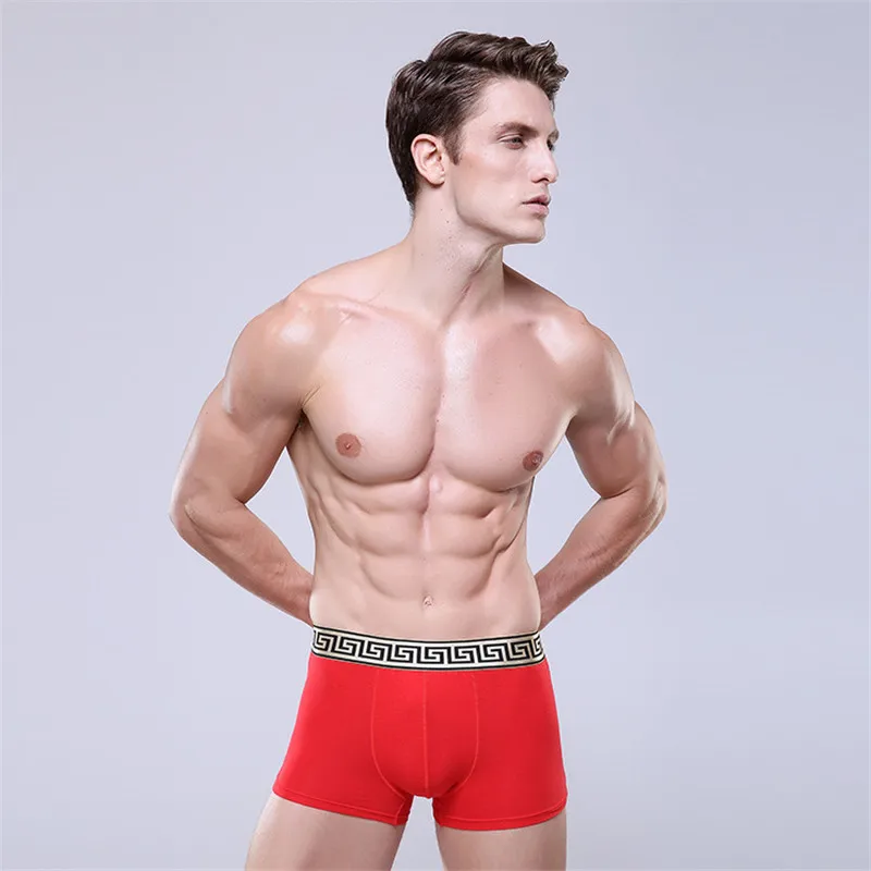 Повседневное хлопковое нижнее белье для мужчин в деловом стиле мужские боксеры с