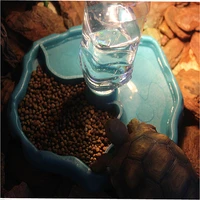 pet reptile feeder 2 in 1 automatic water food feeding plate lizard turtle dispenser reptiles amphibians feeding supplies