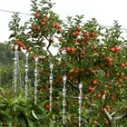 Уличные палочки для отпугивания птиц и насекомых, отражающие голубей спирального типа, легко носить детали