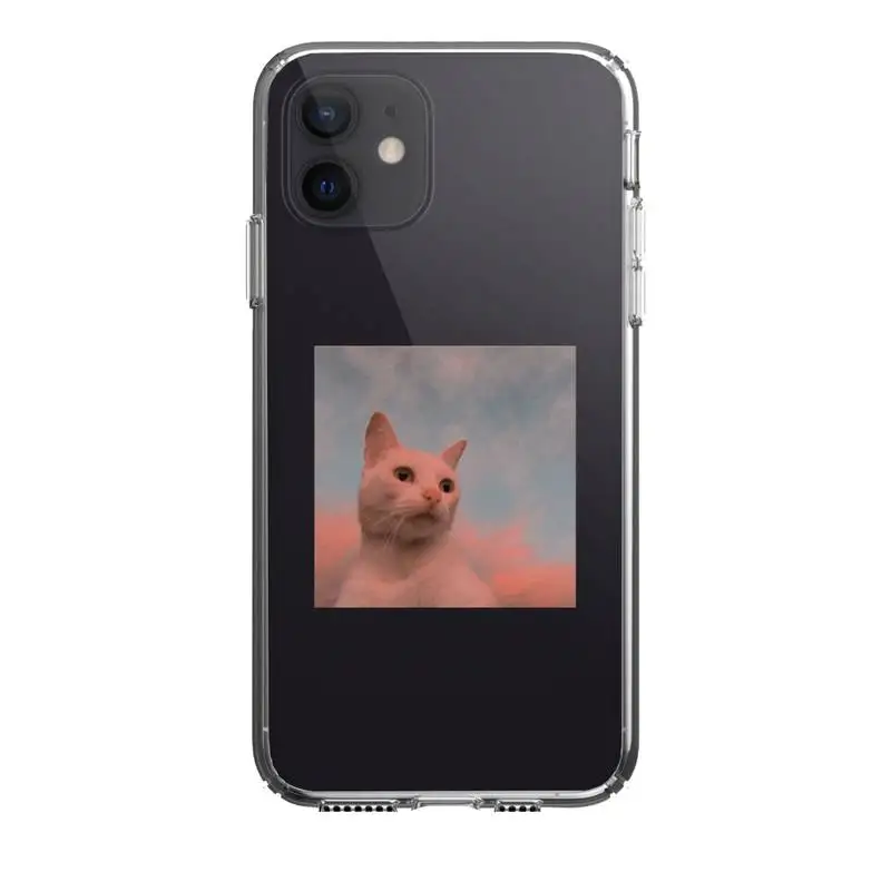 

Cat Phone Case For Iphone 5 6 7 8 11 12 plus XR X XS SE2020 11/12PRO Max Transparent Cases