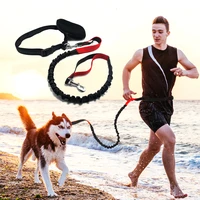 dog running rope waist belt jogging pet elastic leash golden retriever chain medium large dog supplies reflective sethands free