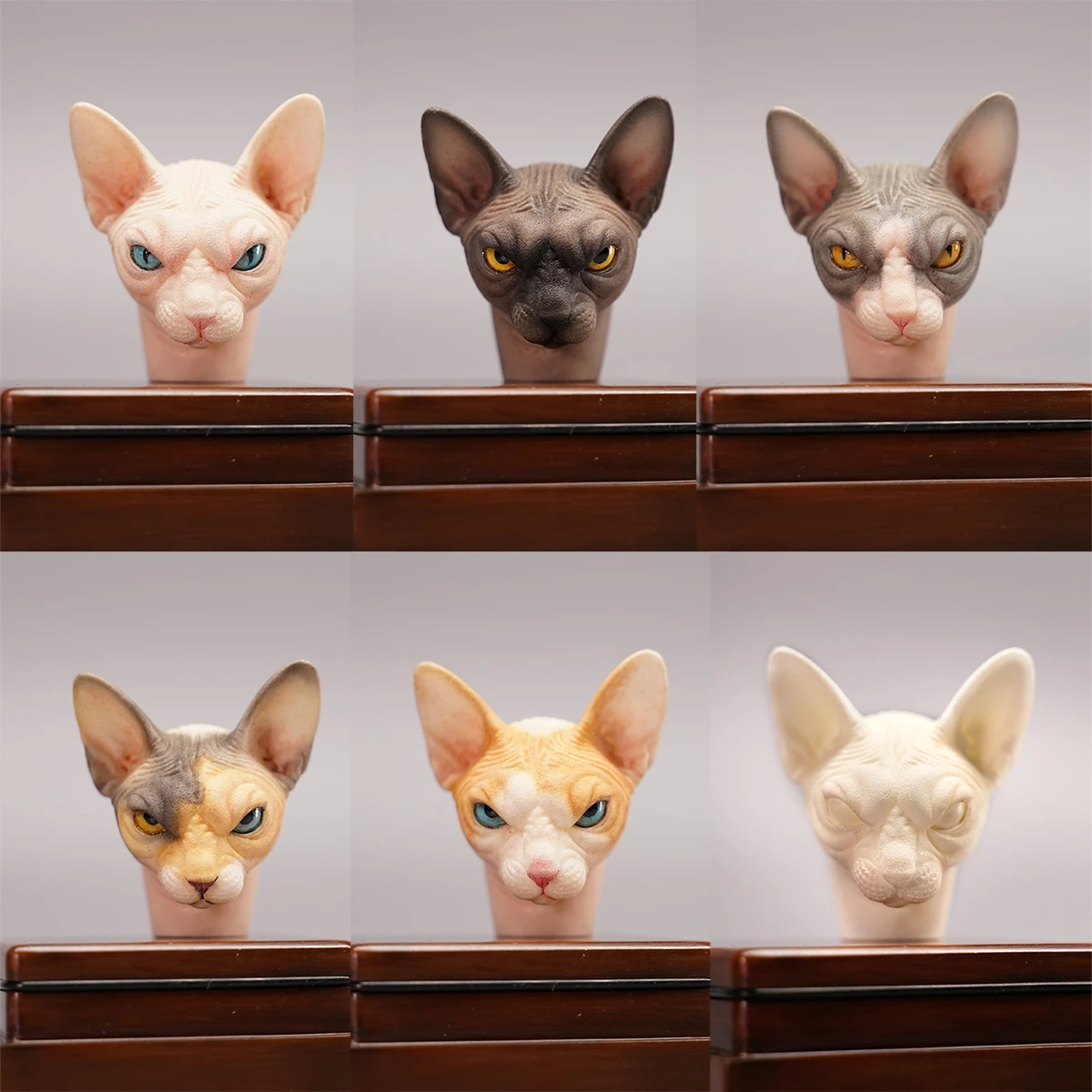 

Mr.Z Mostoys 1/6 Sphynx Head Figure Canadian Hairless Cat Animal Model Decor Soldier Collector Toy for Children Adults Kids Gift