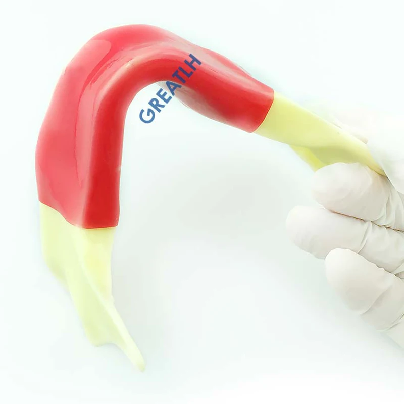 Стоматологическая модель челюсти с силиконом для практики надреза имплантата