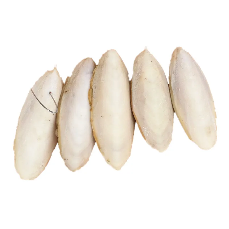 1 шт. Cuttlebone Каракатица сепия кости Попугай Птицы зубы Измельчить обучение катля