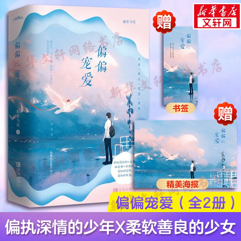 

Dote Youth literature growth romance novel