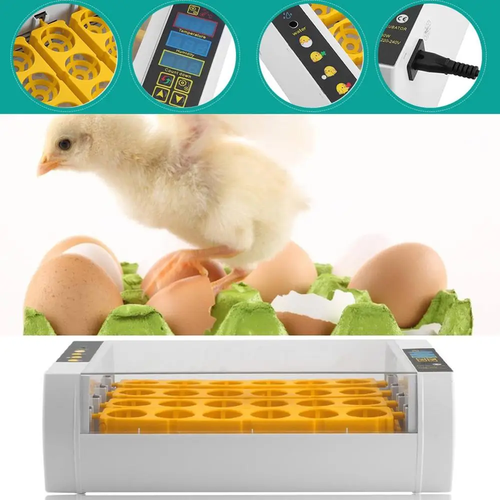 

Waka Practical 24 Eggs Large Capacity Mini Incubator For Chicken Poultry Quail Turkey Eggs Home Use Automatic Egg Turning