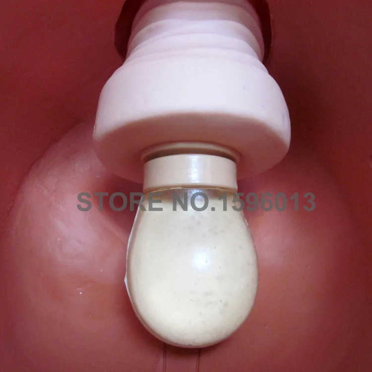 Female Contraception Practice Model Education Medical IUD Training model | Канцтовары для офиса и дома