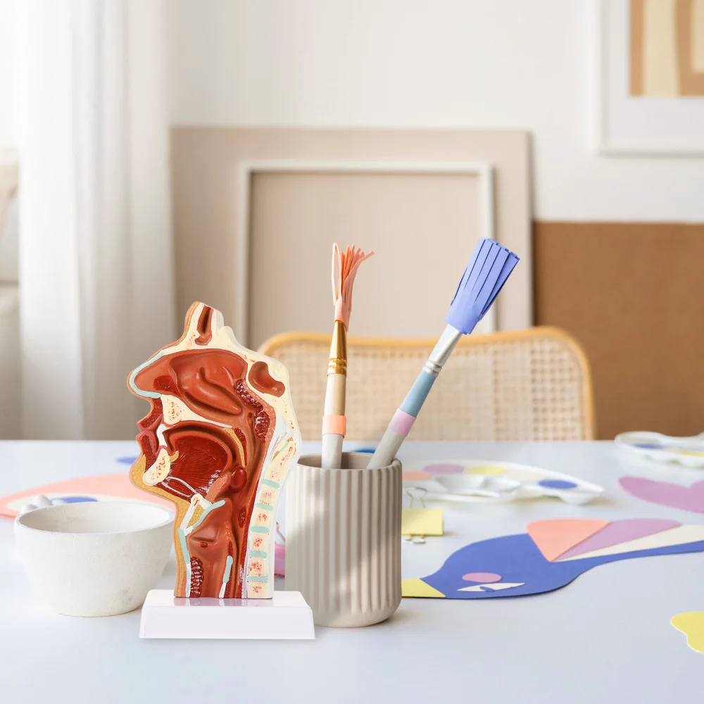 1 шт. модель носовой полости фармацевтическая для носа и горла обучающая модель| |