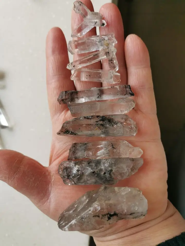 1/4lb Природный редкий молибденита образец кристалла кварца|fossil|fossil fossilsfossil fish |