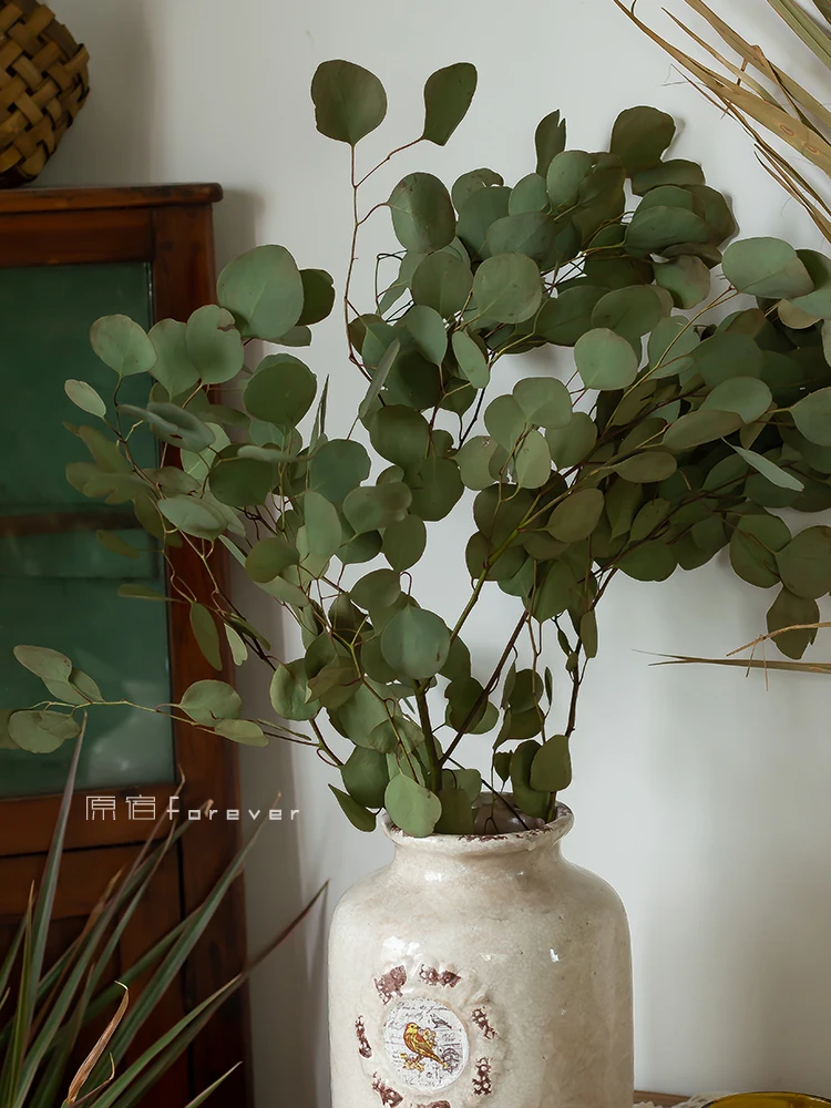 

1pcs Natural Air-Drying Real Flower round Leaves Eucalyptus Leaves Dried Flowers Mori Model Room Soft Decoration