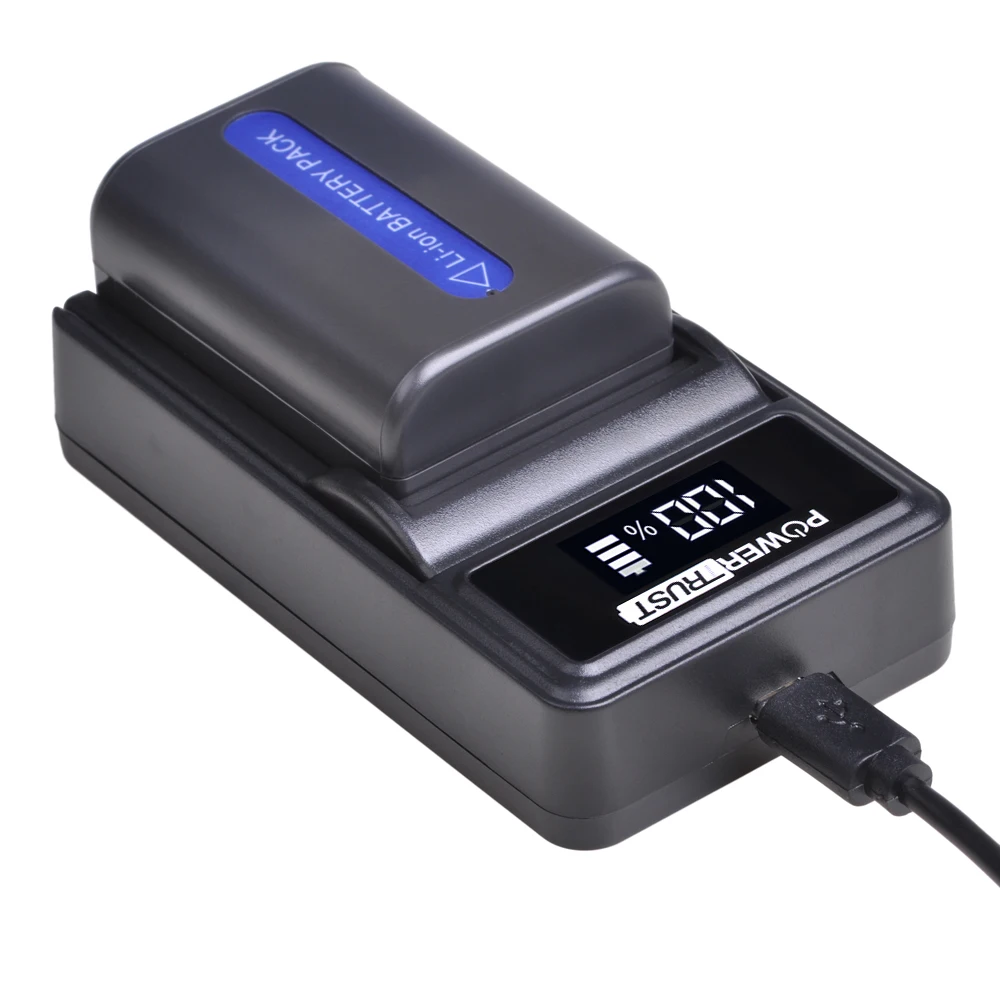 PowerTrust 2 шт. аккумулятор стандарта FM55H + зарядное устройство для USB-светодиодов Sony