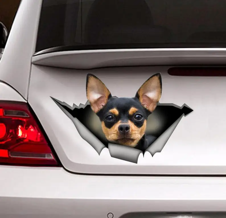 

Black and tan Chihuahua sticker, chihuahua car decal,pet decal