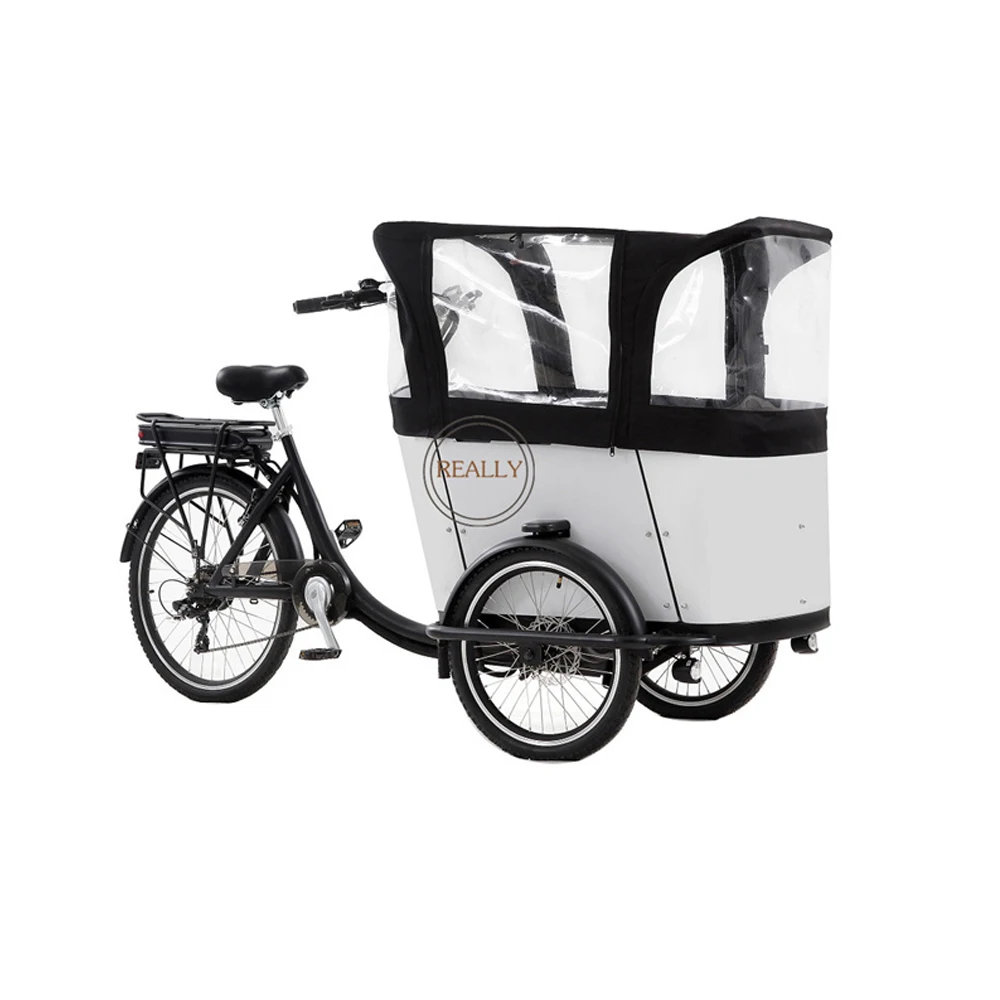 

Factory price electric tricycle pedal trike passenger bike cargo tricycle with family picnic using with battery
