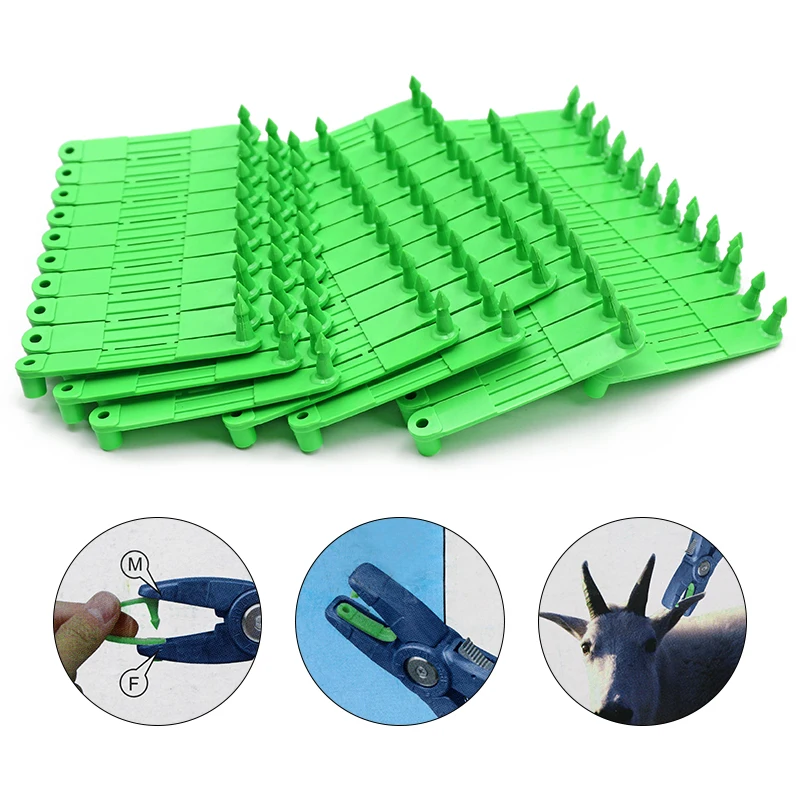 

100 шт., серьги-гвоздики для животных