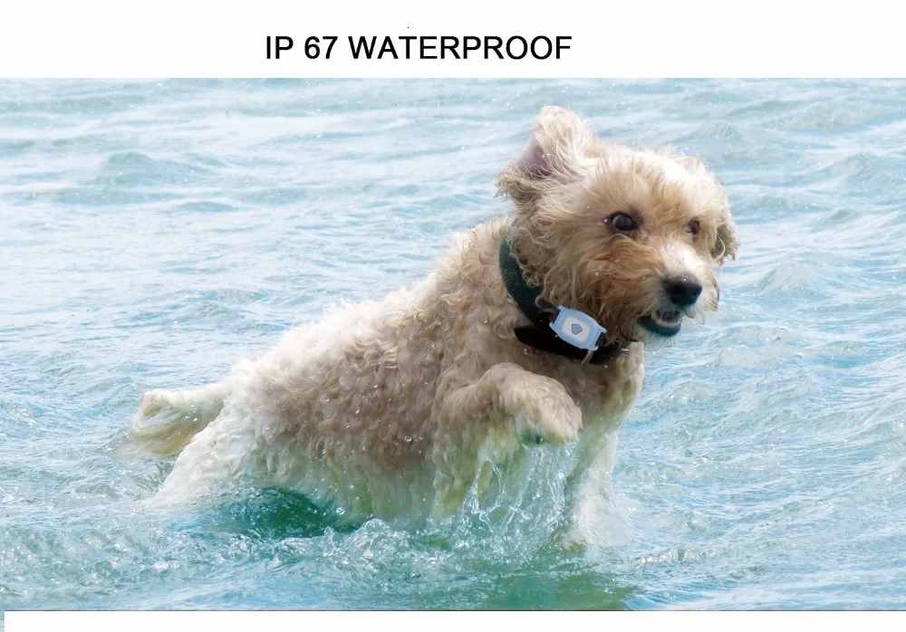 Pet Gps ошейник для собак IP67 Водонепроницаемый кот собака животное трекер ночной светящийся ошейник отслеживающее устройство