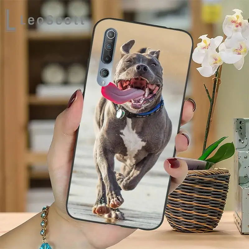 

Black White Pit Bull Lovely Pet Dog Phone Case For Xiaomi Redmi 7 8 9t a3Pro 9se k20 mi8 max3 lite 9 note 9s 10 pro