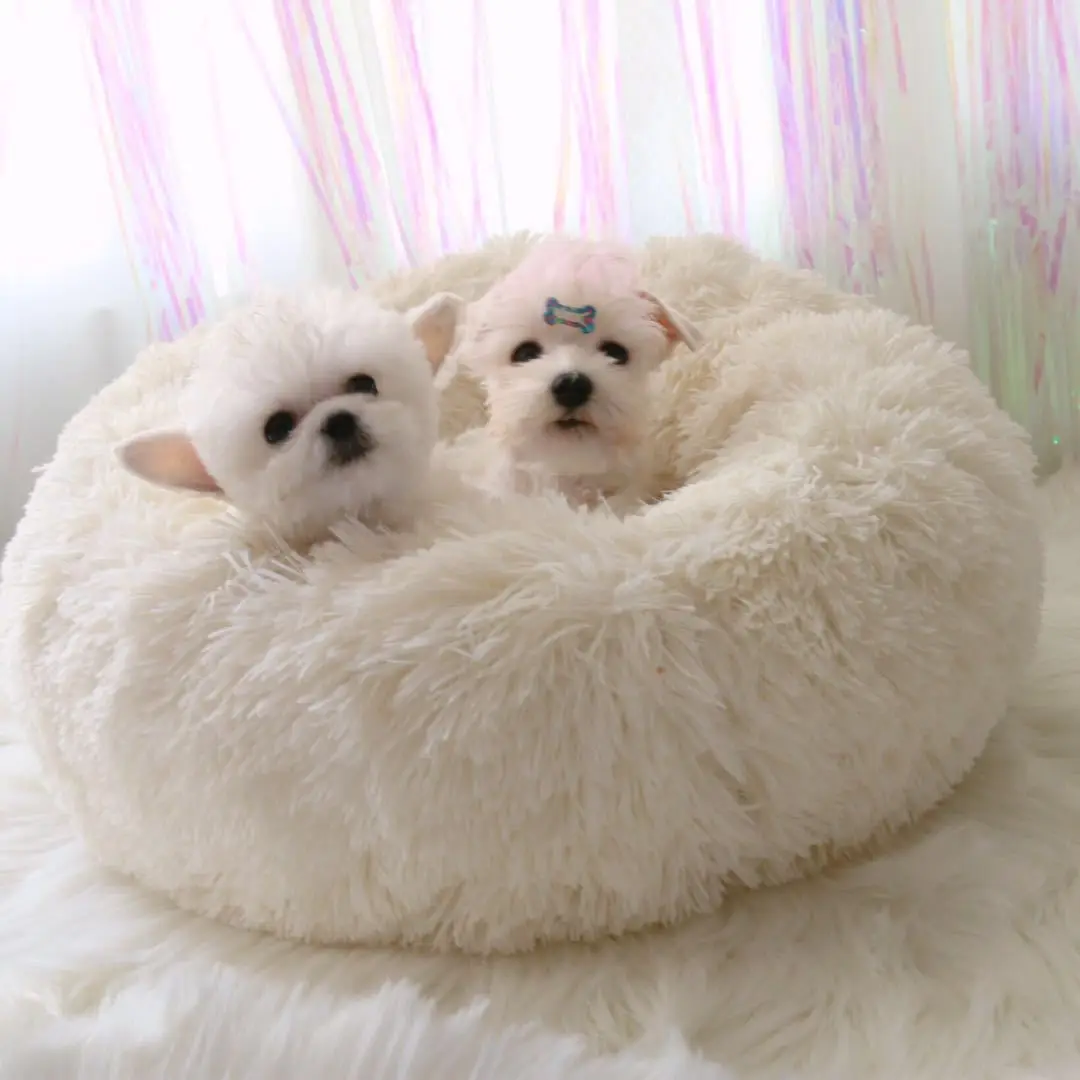 

Pet Kennel Super Soft Fluffy Comfortable for Large Cat Dog House Bed Cat Cushion Bed Winter Warm Sofa
