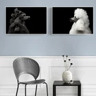 Картина на холсте благородный Пудель черно-белая стена фотообои для гостиной спальни украшение для дома