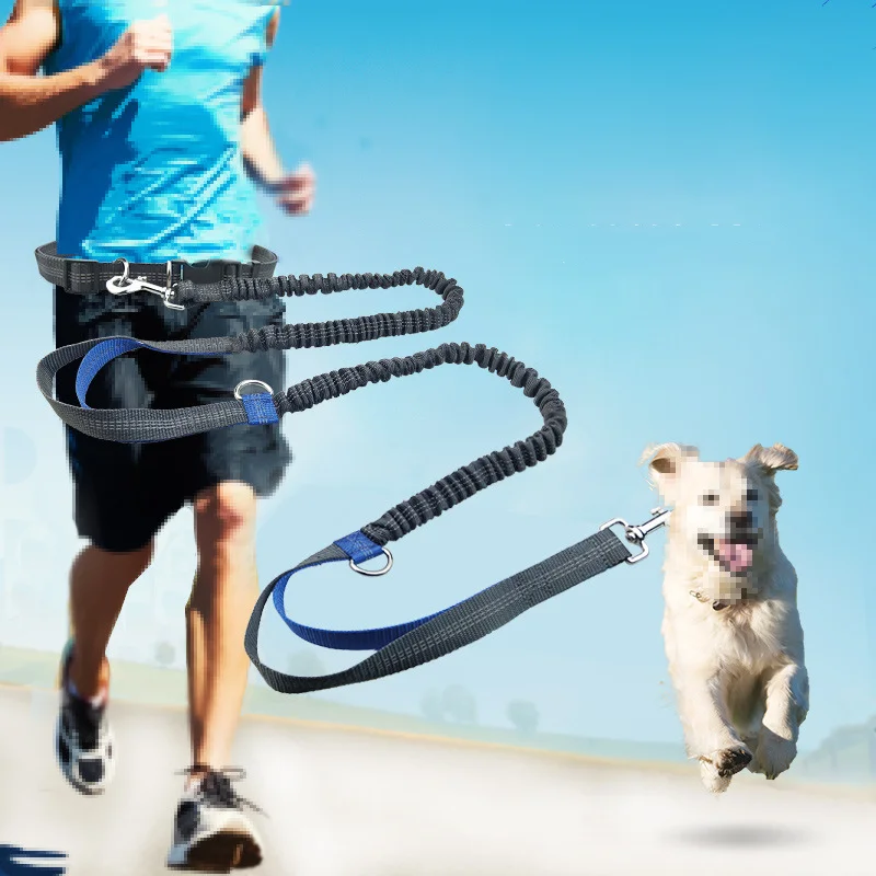 

Hands Free Dog Running Leash with Adjustable Waist Belt, Dual Handle Elastic Bungees Retractable Rope Walking Hiking Bikin