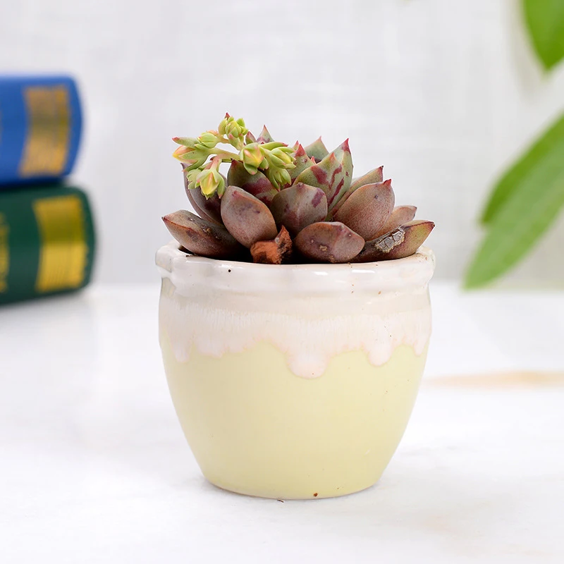 Креативное домашнее украшение Миниатюрные модели цветочных горшков потоковая