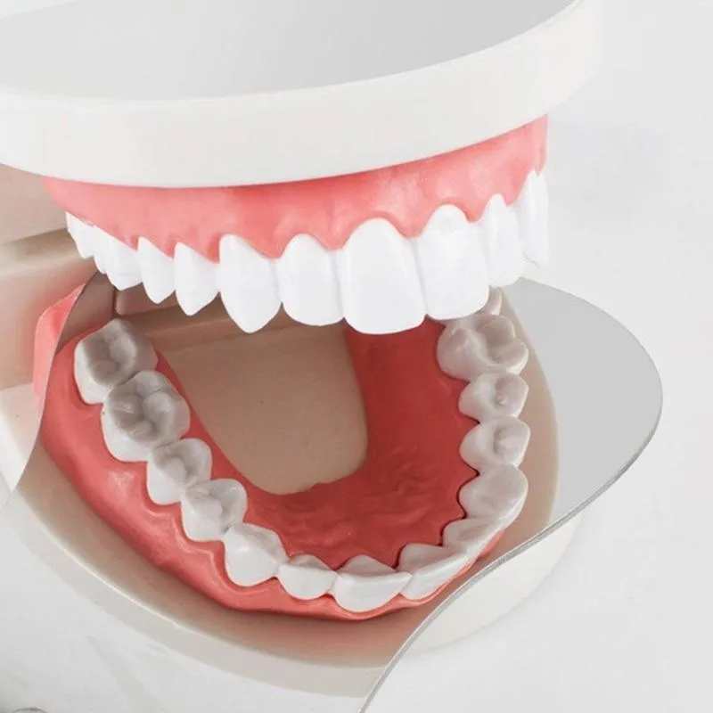 

Dental Mirror Steel Dental Lab Dentistry Dentist Instrument Mirror