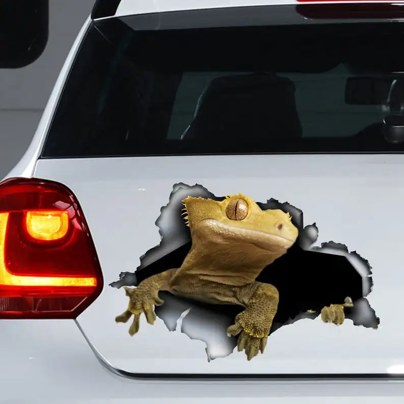 

Crested Gecko car decal , Crested Gecko car sticker, Crested Gecko ,magnet