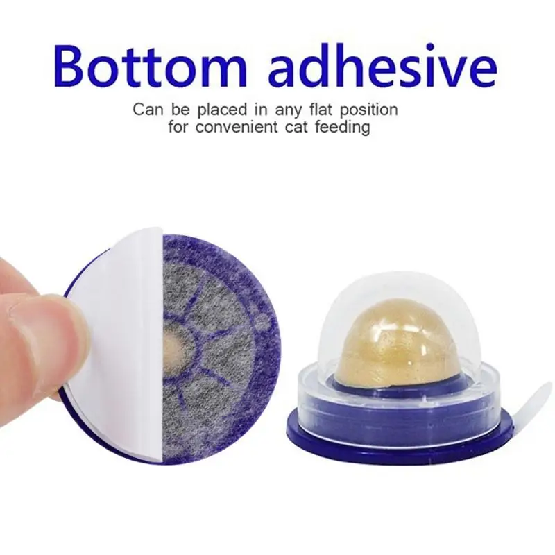 1/3/5 шт. кошачья мята | Дом и сад