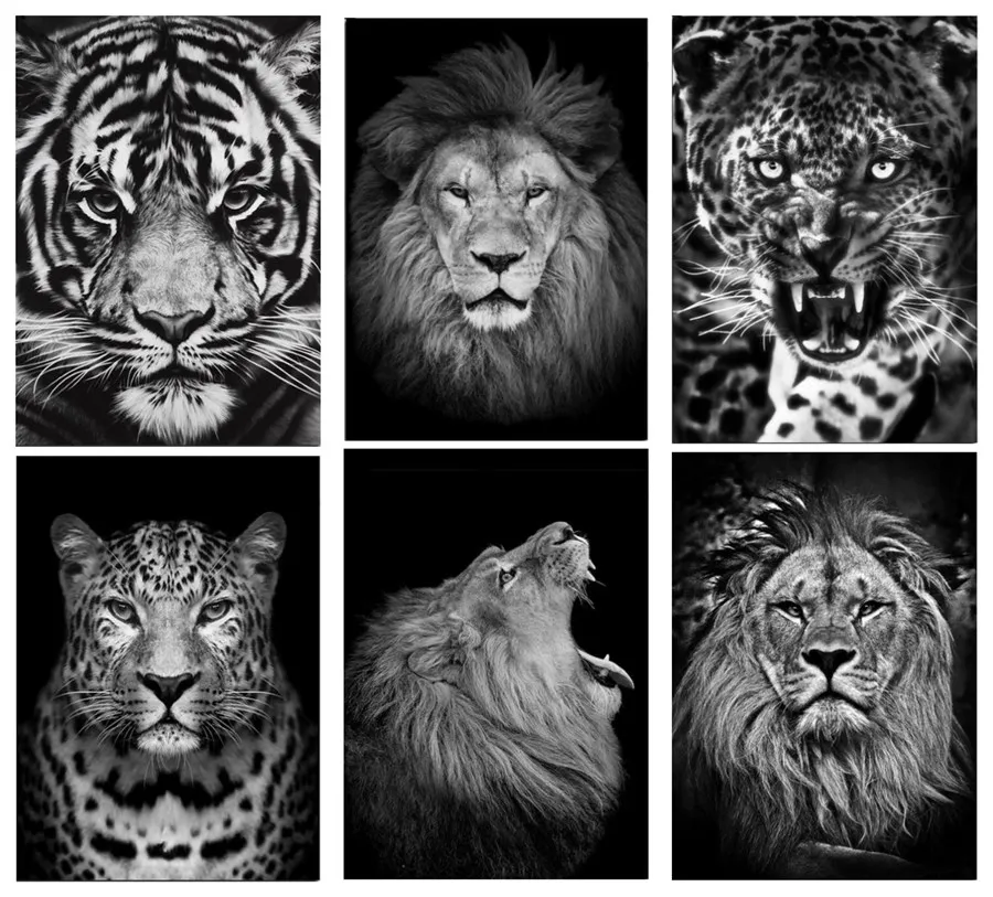 5D DIY Алмазная картина тигр Лев животное вышивка крестиком круглые стразы