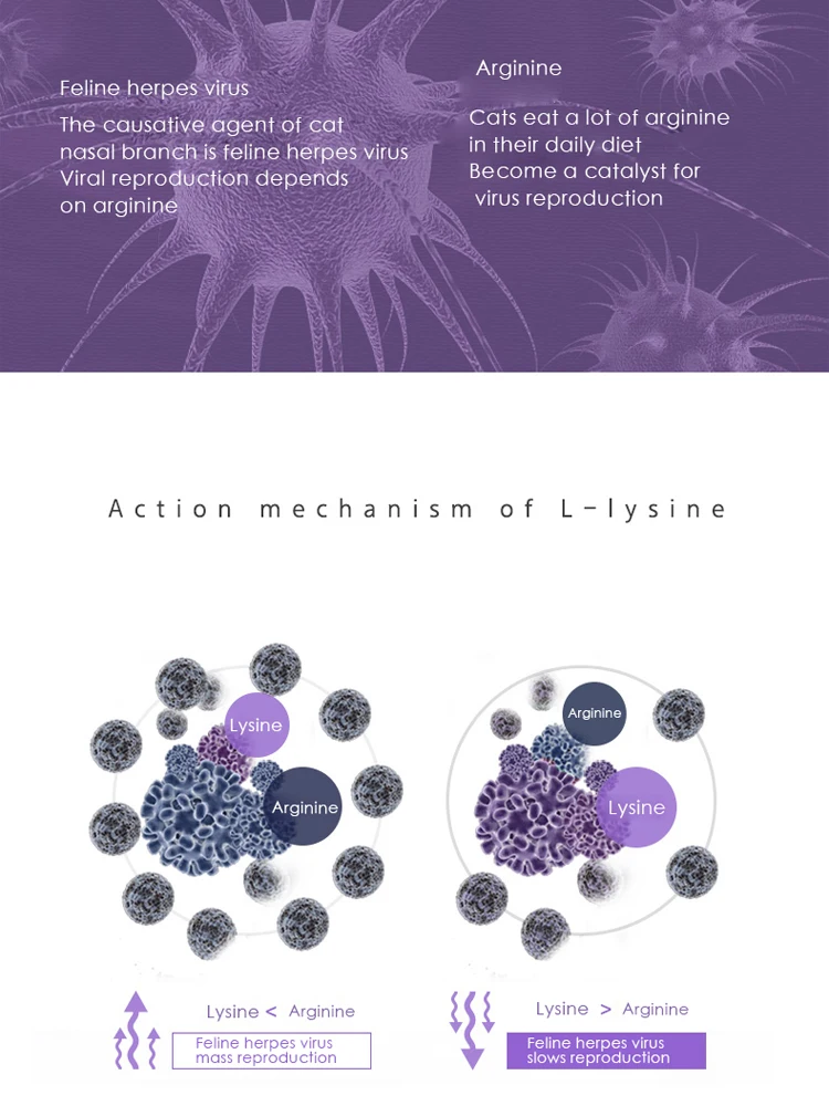 Питание кошки аммиак ветка кошачьего носа лизин кошка амин скрадывающийся